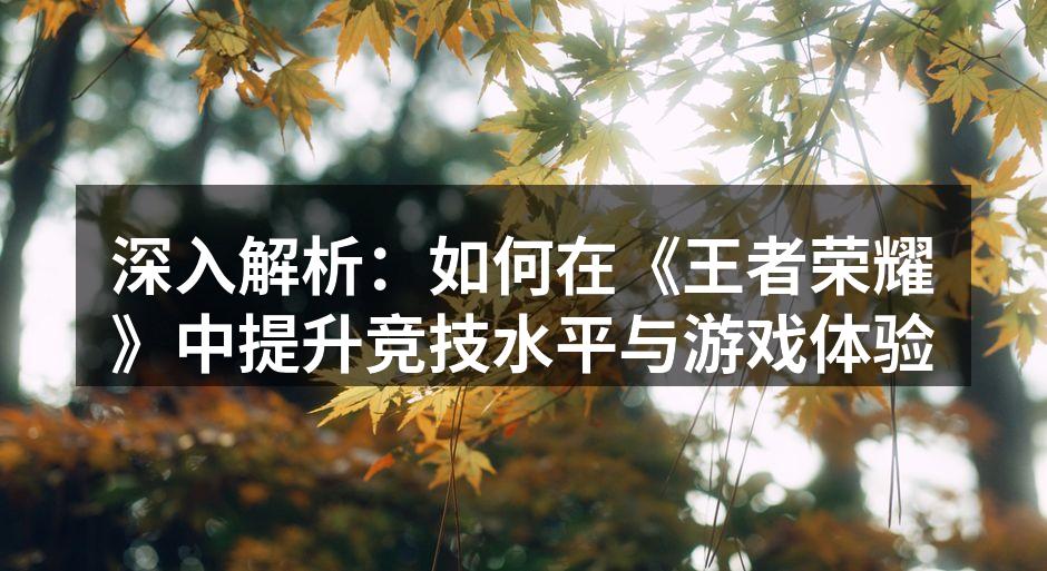 深入解析：如何在《王者荣耀》中提升竞技水平与游戏体验